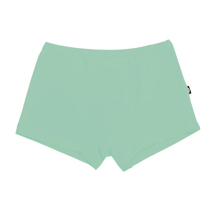 Kyte Baby - Boys Bamboo Briefs (Size 6-10 Youth)