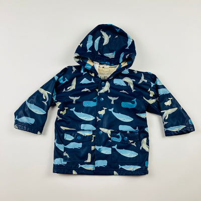 Hatley Rain Jacket - Size 2 Toddler - Pitter Patter Boutique