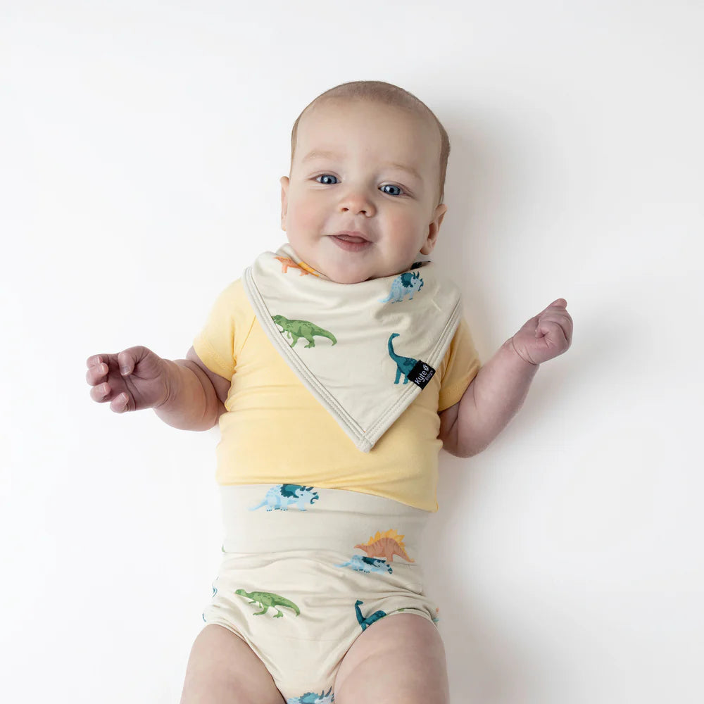 Kyte Baby - Bamboo Bibs