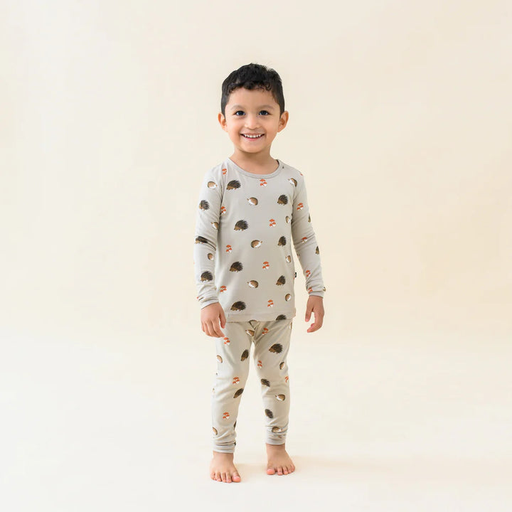 Kyte Baby - Bamboo Long Sleeve Pajama/PJ Set (5T & 6T)