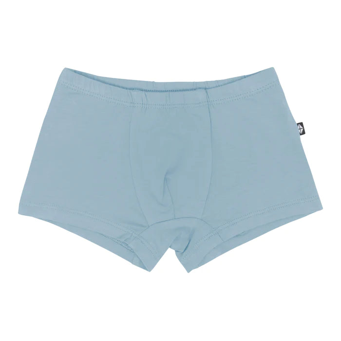 Kyte Baby - Bamboo Briefs Underwear (Size 2-5 Toddler)
