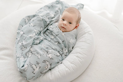 Nest Designs - Bamboo Swaddle Blankie - Pitter Patter Boutique