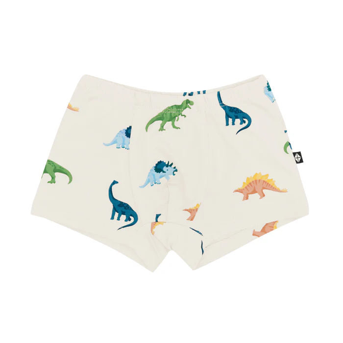 Kyte Baby - Boys Bamboo Briefs (Size 6-10 Youth)