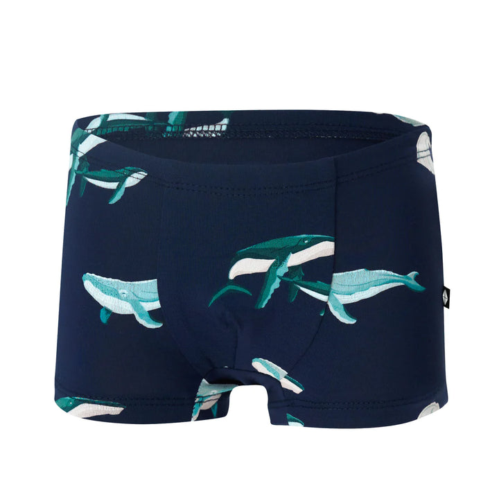 Kyte Baby - Boys Bamboo Briefs (Size 6-10 Youth)