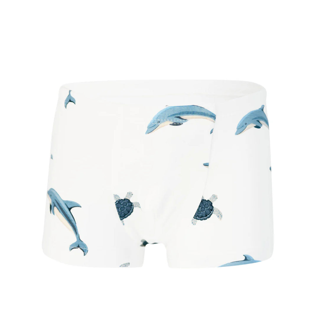 Kyte Baby - Bamboo Briefs Underwear (Size 2-5 Toddler)
