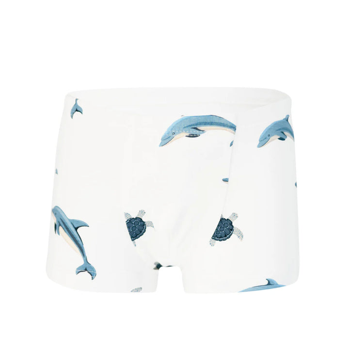 Kyte Baby - Bamboo Briefs Underwear (Size 2-5 Toddler)