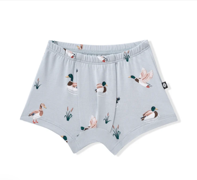 Kyte Baby - Boys Bamboo Briefs (Size 6-10 Youth)