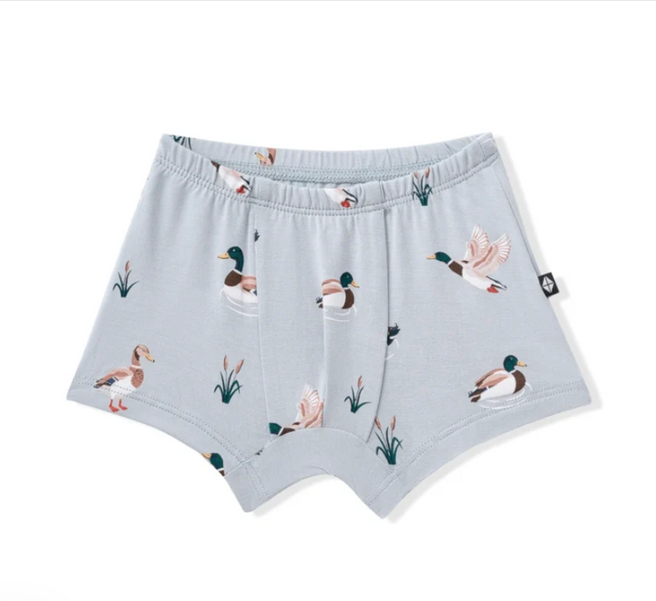 Kyte Baby - Boys Bamboo Briefs (Size 6-10 Youth)