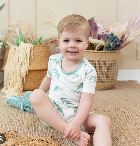 Clearance Kyte Baby - Short Sleeve Bamboo Pajamas (PJs)
