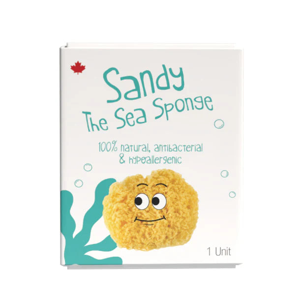 Loot - Sandy the Sea Sponge