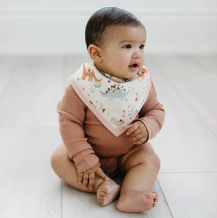 Loulou Lollipop - Muslin Baby Bandana Bib Set