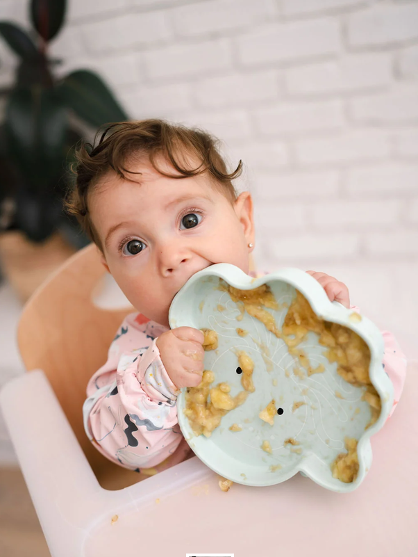 Loulou Lollipop - Silicone Suction Snack Plate