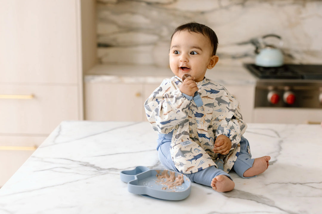 Loulou Lollipop - Silicone Snack Plate