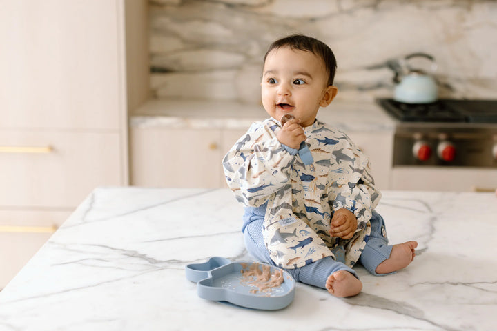 Loulou Lollipop - Silicone Snack Plate