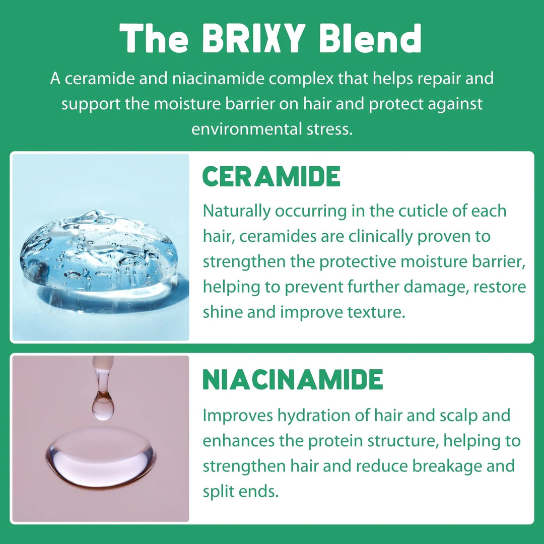 BRIXY - Balance Shampoo Bar - Mint Eucalyptus