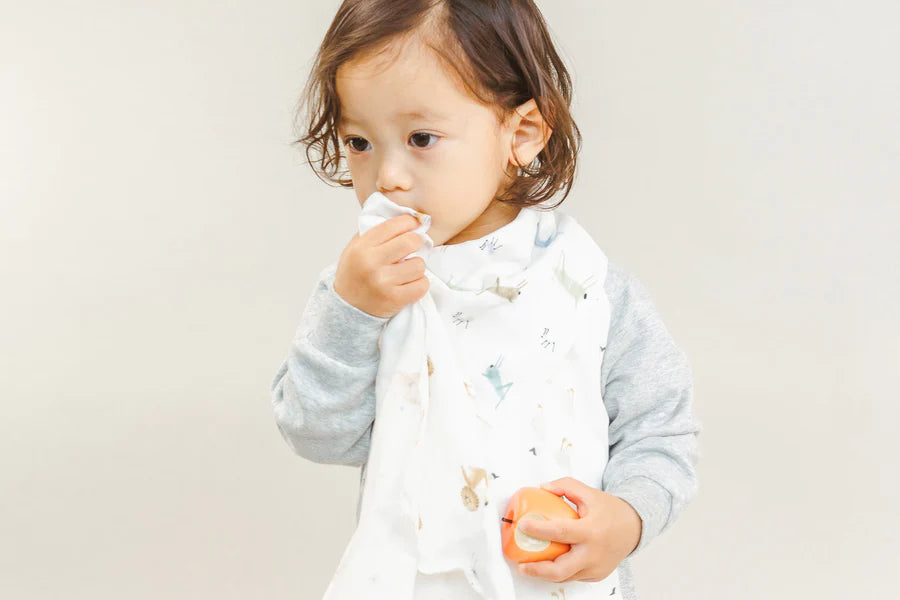Nest Designs - 6 Pack Baby Washcloths - Pitter Patter Boutique