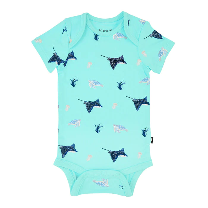 Kyte Baby - Short Sleeve Bodysuits (12-18M & 18-24M) - Pitter Patter Boutique