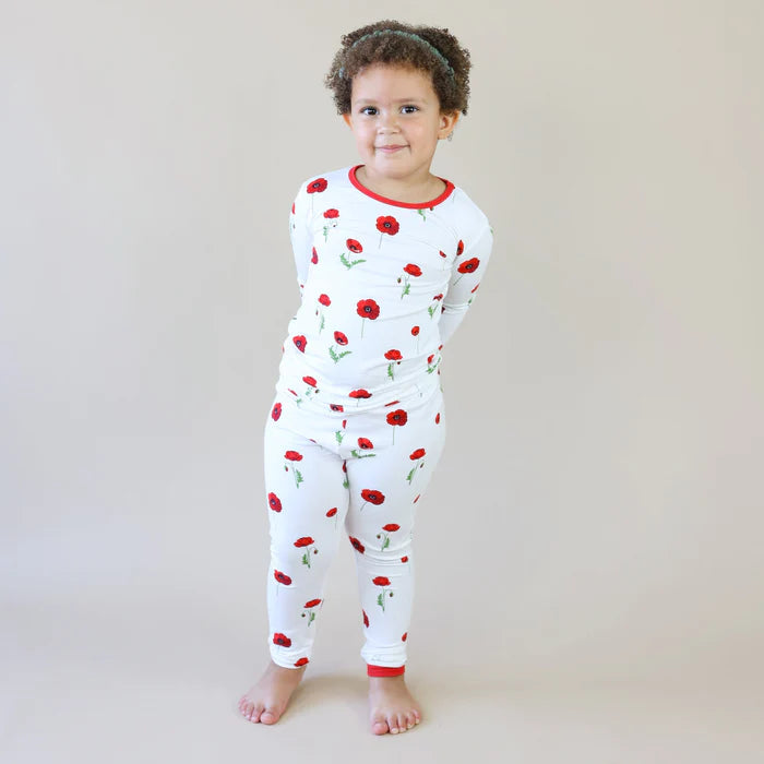 Kyte Baby - Long Sleeve Pajama/PJ Set (5T & 6T) - Pitter Patter Boutique