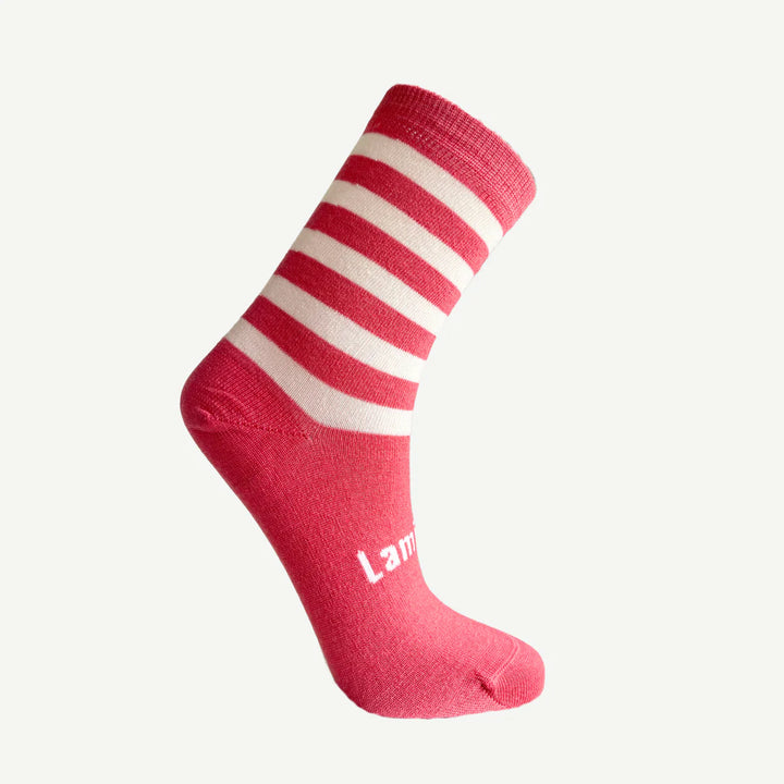 Lamington - Merino Wool Crew Cut Kids Socks