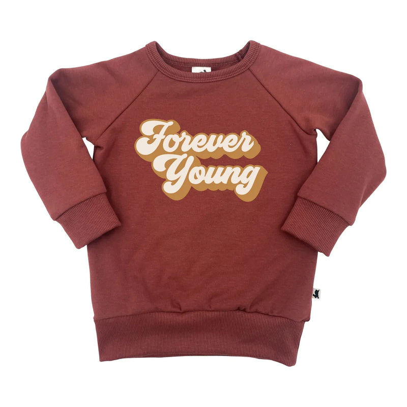 Little & Lively - Baby/Kids Fleece-lined Pullovers - Pitter Patter Boutique