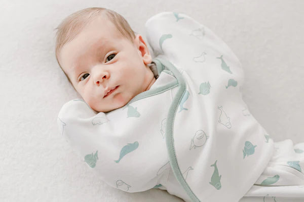 Nest Designs - Organic Cotton Startle Stop Sleep Bag - 0.5 TOG - Pitter Patter Boutique