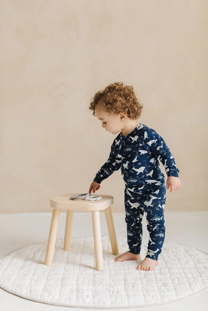 Loulou Lollipop - 2-pc TENCEL™ Lyocell PJ Set - Pitter Patter Boutique