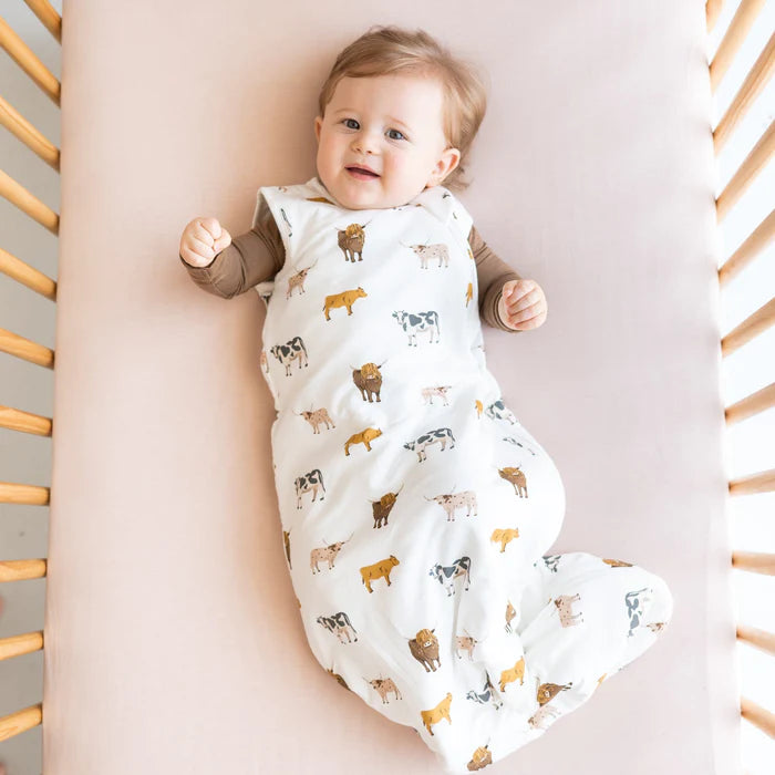 Kyte Baby Sleep Bag - XS (NB/0-3m) - 1.0 tog - Pitter Patter Boutique