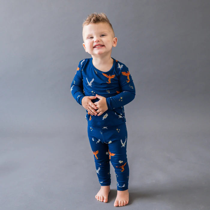 Kyte Baby - Long Sleeve PJ Set (3T & 4T) - Pitter Patter Boutique